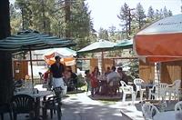 Thelma's Family Restaurant & Bakery 11