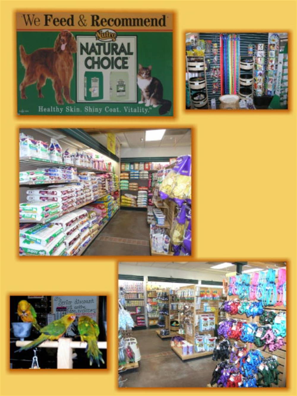 Healthy choice sales pet store