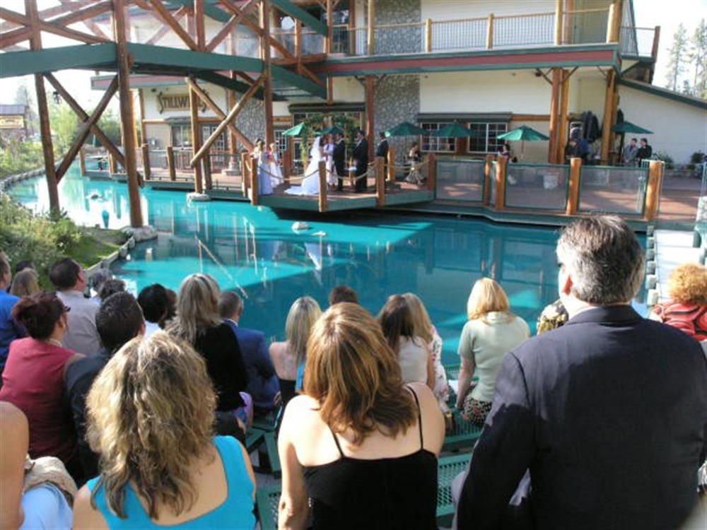 Weddings Etc 6