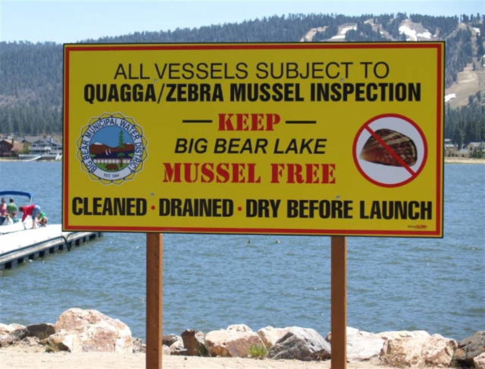 West Boat Ramp 6